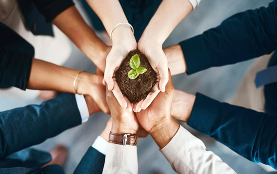 Nova tecnologia de materiais Co. de Changzhou Baonong, Ltd.